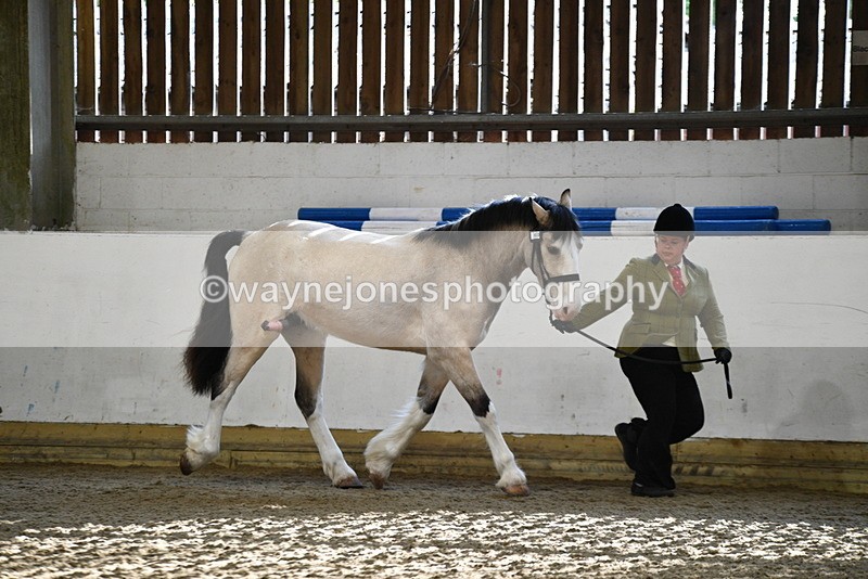 WJ5_3449 - Class 1 Youngstock