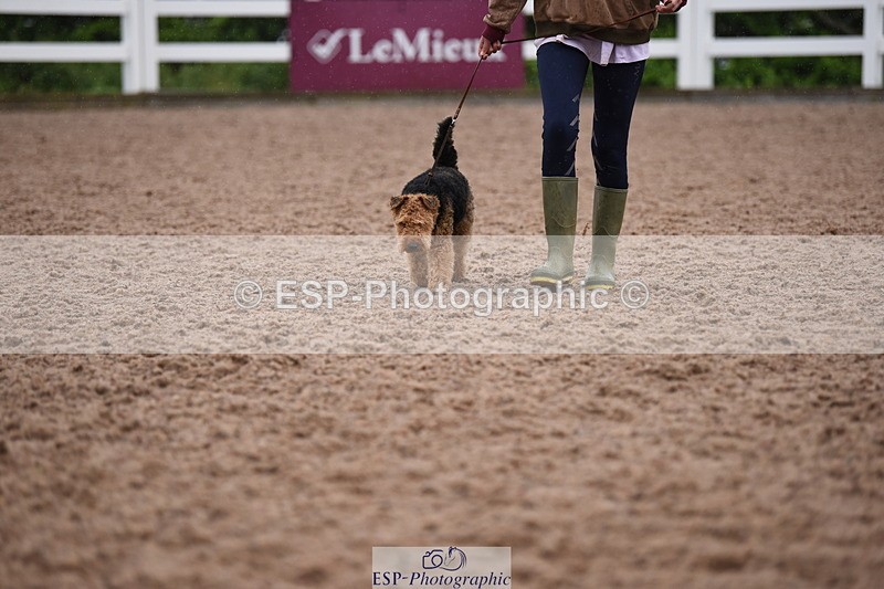 240518A-130230-01247 - Cls 6 Best Veteran