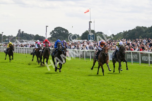 210824-Race 2-The Lion In Winter-4718 - Race 2 2.25pm Tattersalls Acomb Stakes