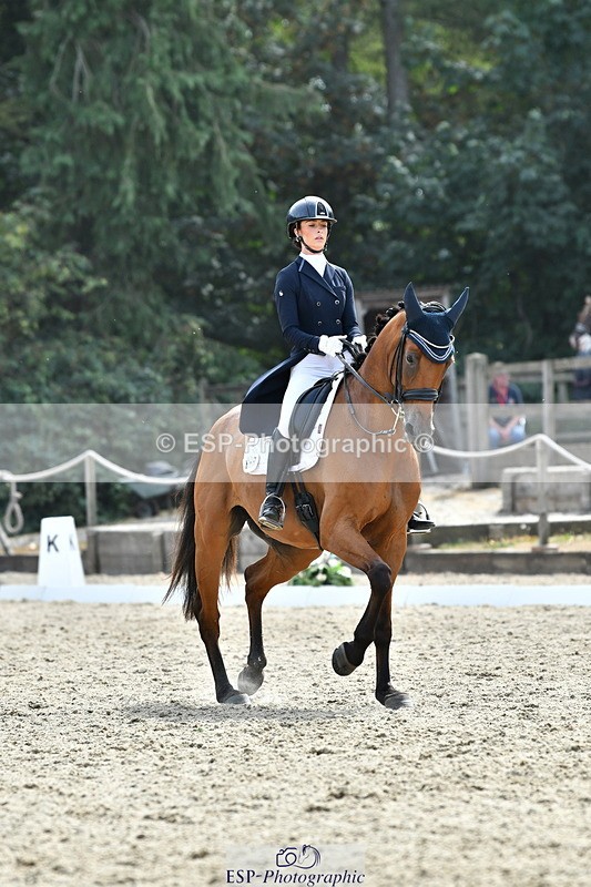 260802A-153036-07428 - Intermediate Bronze