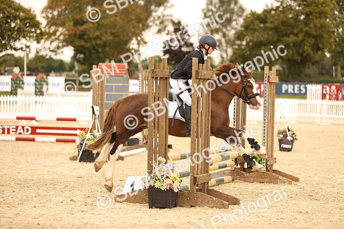 SBM_74307 - J14 - Junior Pony 65cm Championship