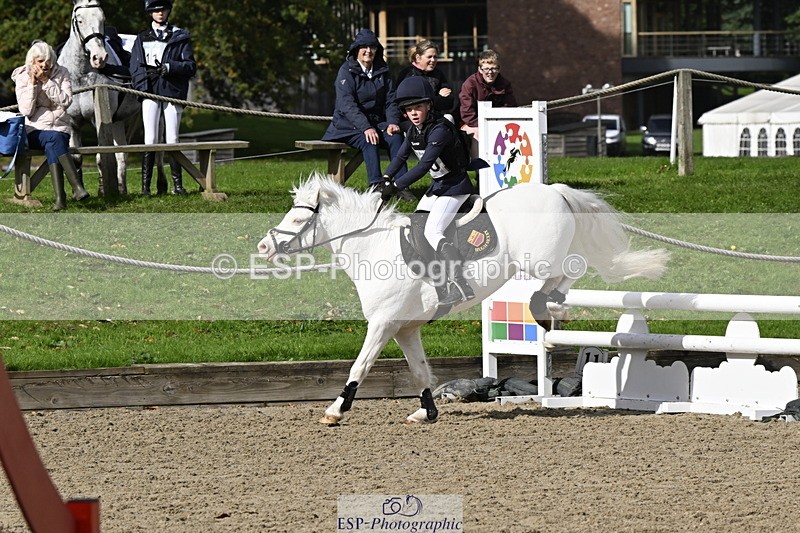 251005A-121727-03706 - Cls 08 Mini 70-75cm