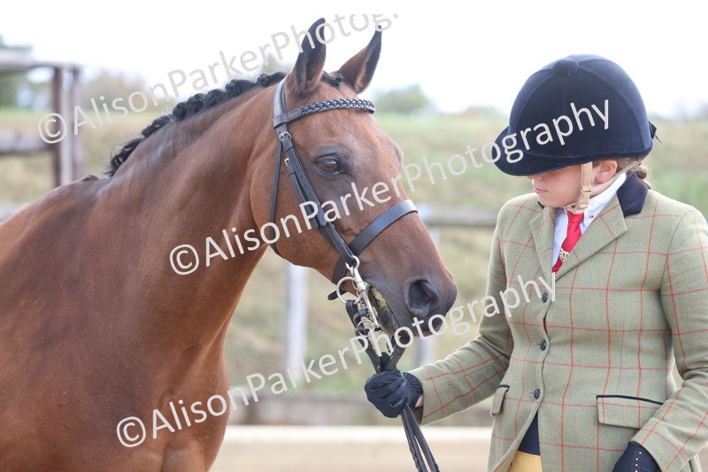 20260831-2366 - Class 9 - Show Pony and Show Hunter