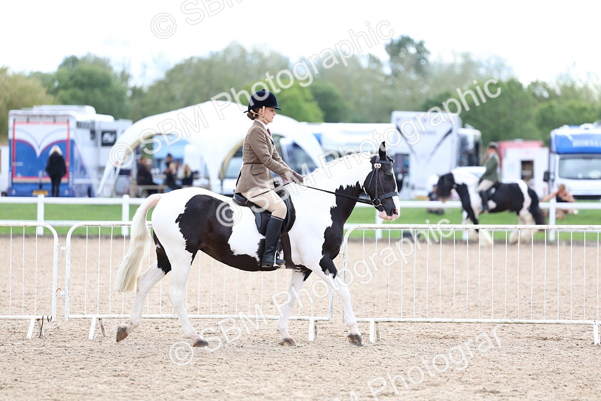SBM_15750 - Class 314 - Family Horse - Pony