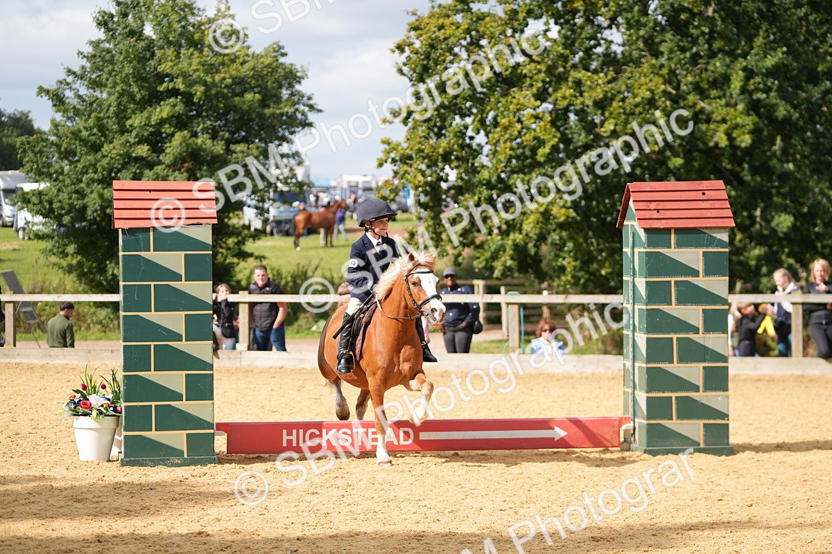 SBM_64512 - J2 - Mini Tour Junior Pony 30cm Championship