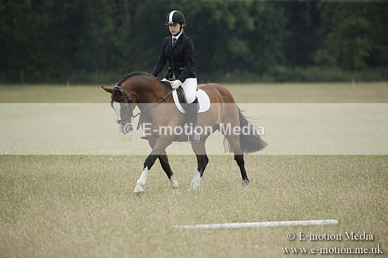 B230619-0658 - Bourne Valley Riding Club Summer Show 23/06/19