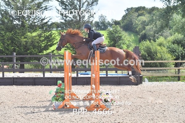 BPP_4666 - CLASS 15 SUN Senior Newcomers/ 1.10m Open