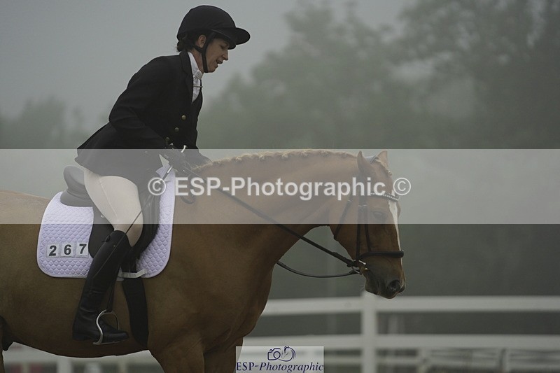 230708A-150316-03979 - Prelim 18