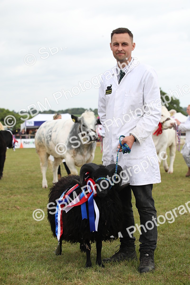 SBM_07874 - Grand Parade