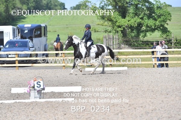 BPP_0234 - SHORT ARENA  MY QUEST PRELIM