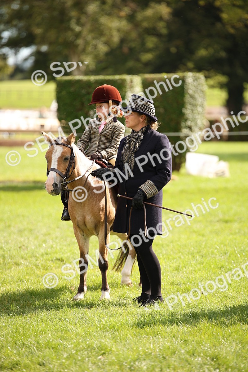 SBM_49983 - S26 - Young Veteran - Ridden