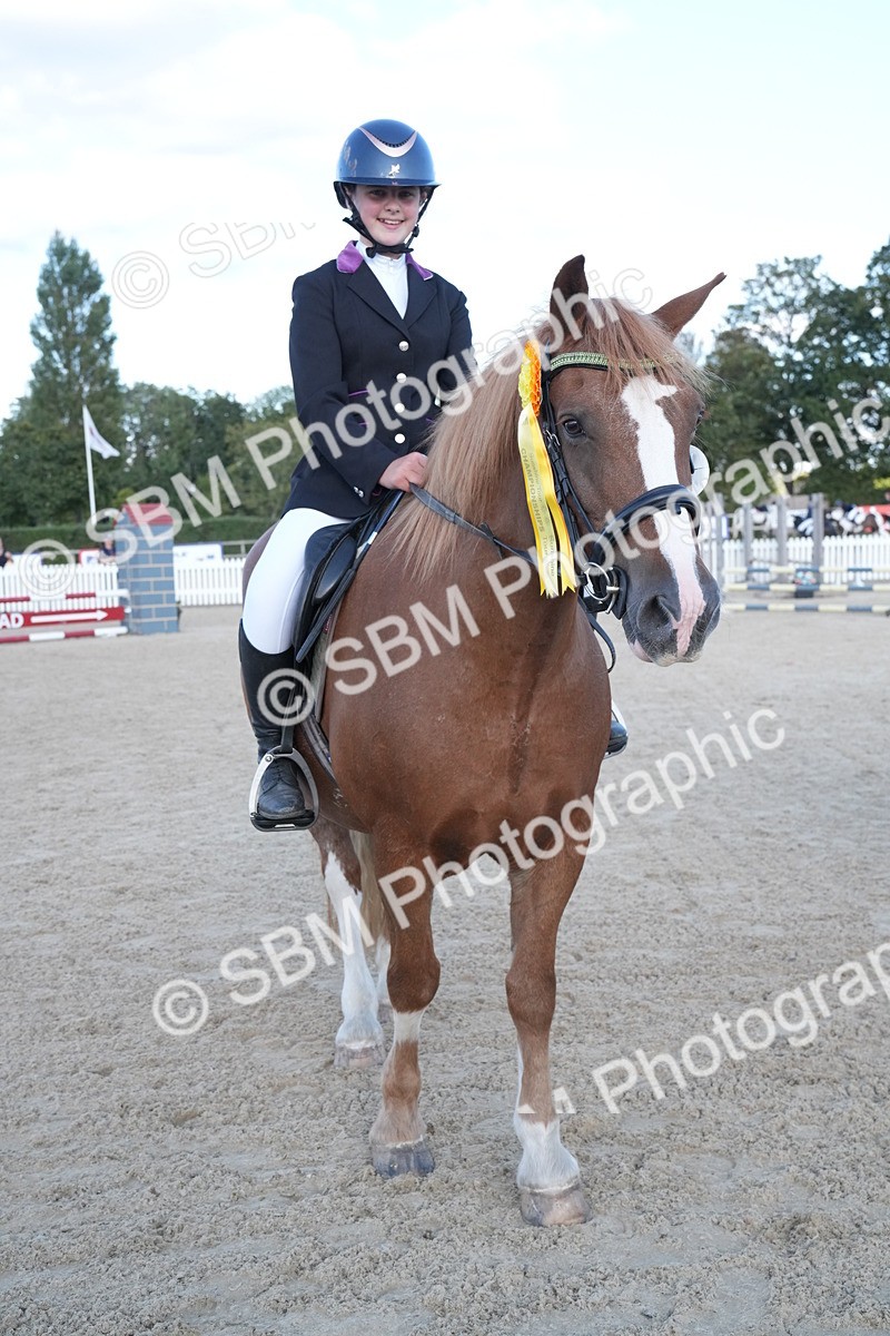 SBM_28067 - J43 - Super Speedy Scurry Open - 60cm