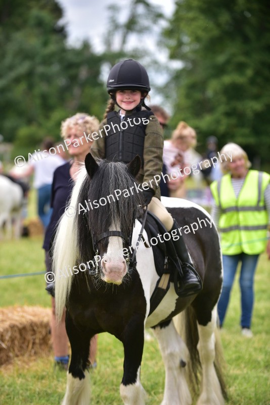 20260614-4225 - Class 17 - Best Mane and Tail