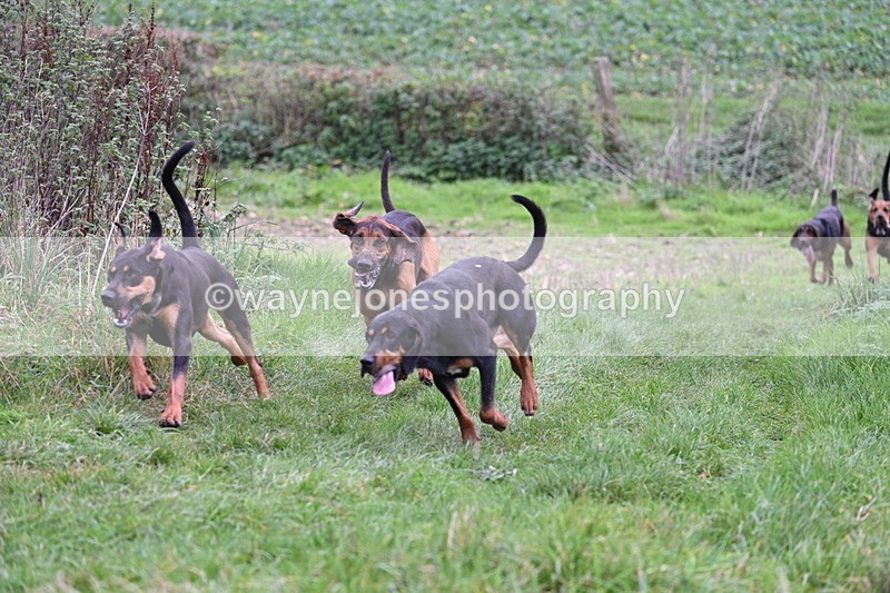 WJ7_8908 - Camera 1 only on this line