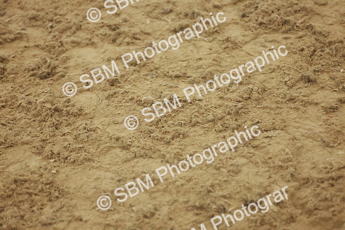 SBM_004922 - Class 6 - Chase Me Charlie