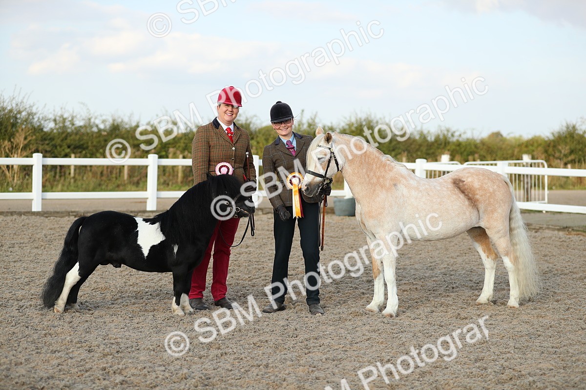 SBM_09144 - Class 29 IH Veteran Pony