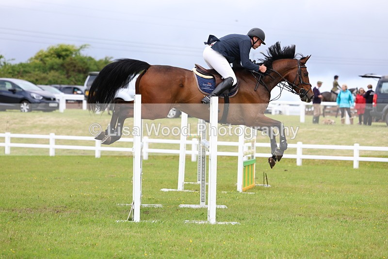 3E7A7145 - Class 12: Senior Foxhunter/1.20 open