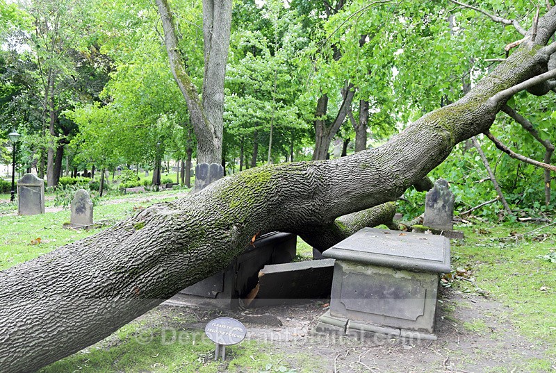 Post-Tropical Storm Arthur - 2 - Extreme Weather