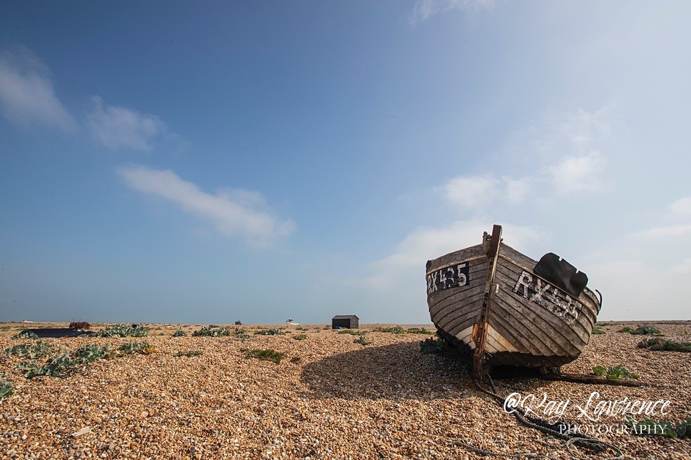 Beached_03_9_21-RLP28309 - Close to Home