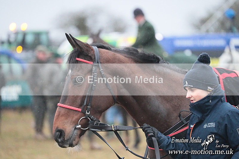 PtP 260125 964 - Cocklebarrow Point-to-Point racing with the Heythrop Hunt 26/01/25