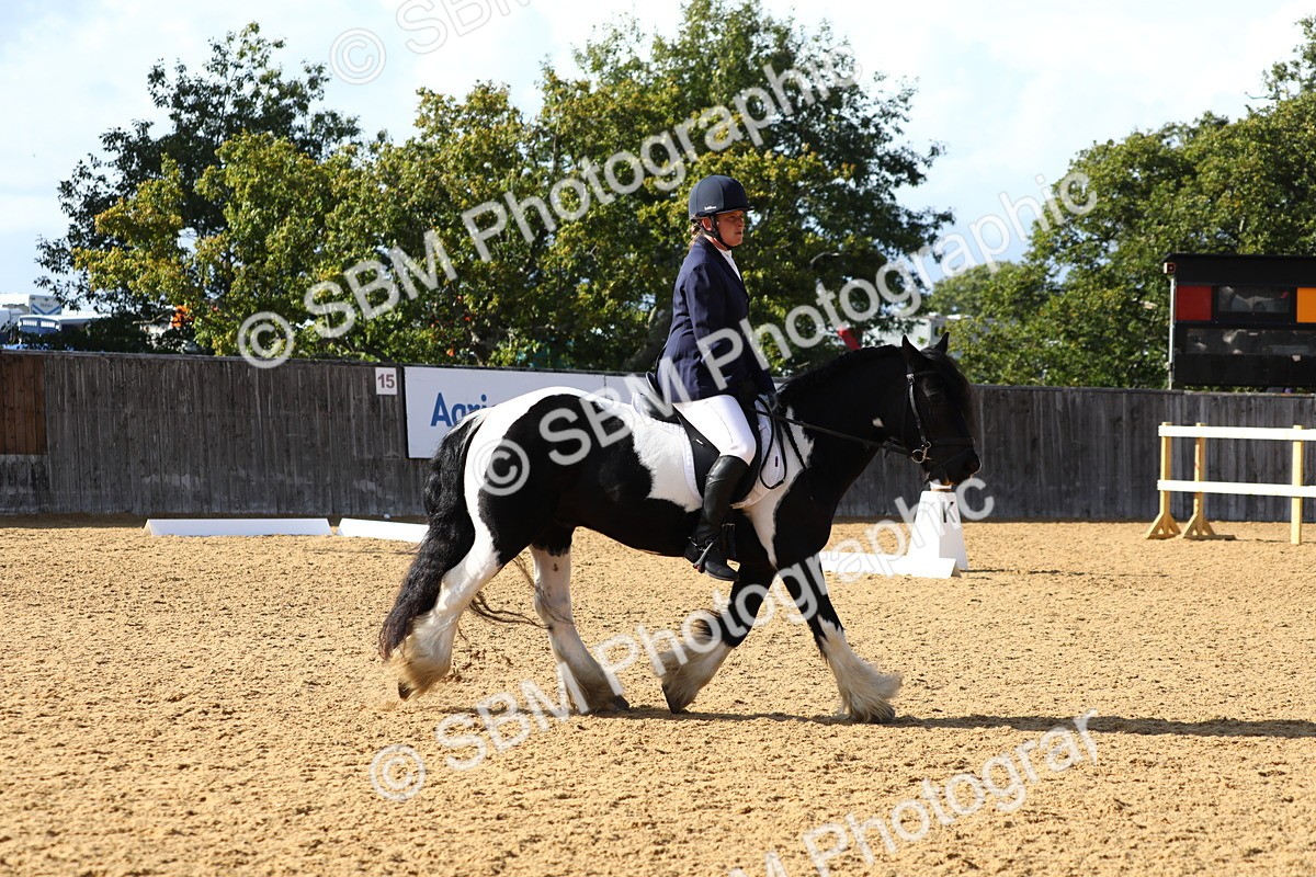 SBM_26786 - D11 - Small Tour Championship Prelim 1