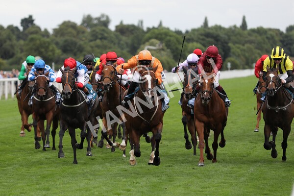 yr17082022r7-18 - Race 7 5.20pm Sky Bet Nursery Handicap