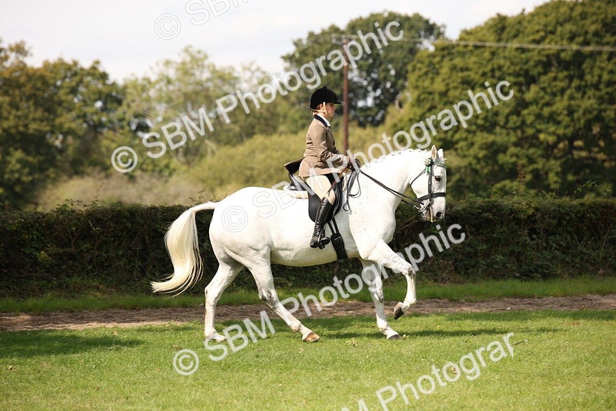 SBM_65925 - S64 - Riding Horse & Hack & Thoroughbred Ridden