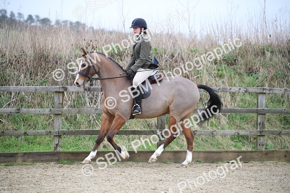 SBM_004750 - Class 5-9 - NPS In Hand-Show Hunter-Intermediate Ridden Inc Ridden Championship
