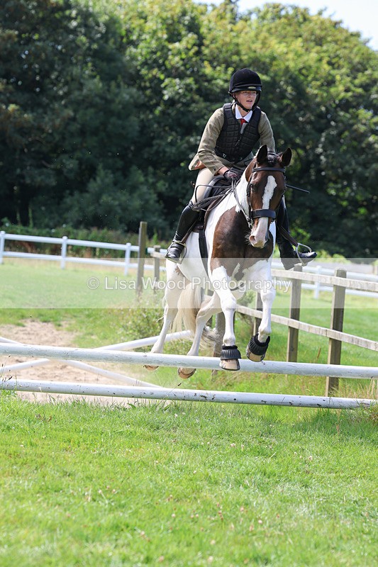 3E7A8612 - Class 5: Working Show Horse