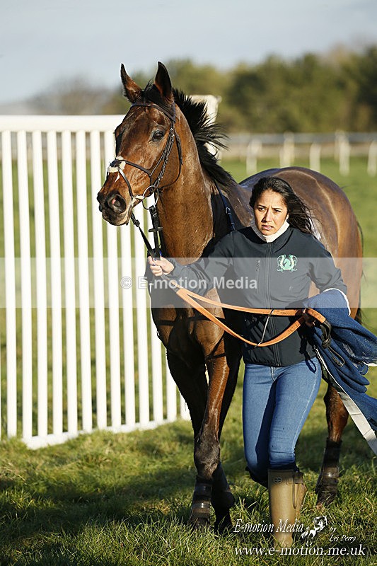 PtP 121220 638 - Avon Vale Races Larkhill 12/12/20