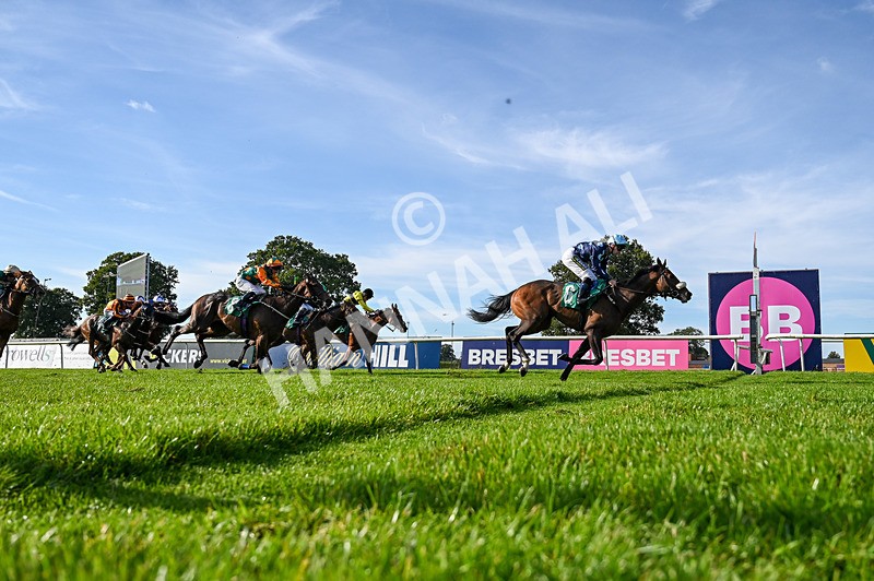 160924-Race 6-Count Palatine-5238 - Race 6