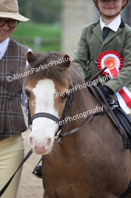 20260504-0128 - Class 9 - Lead Rein Pony