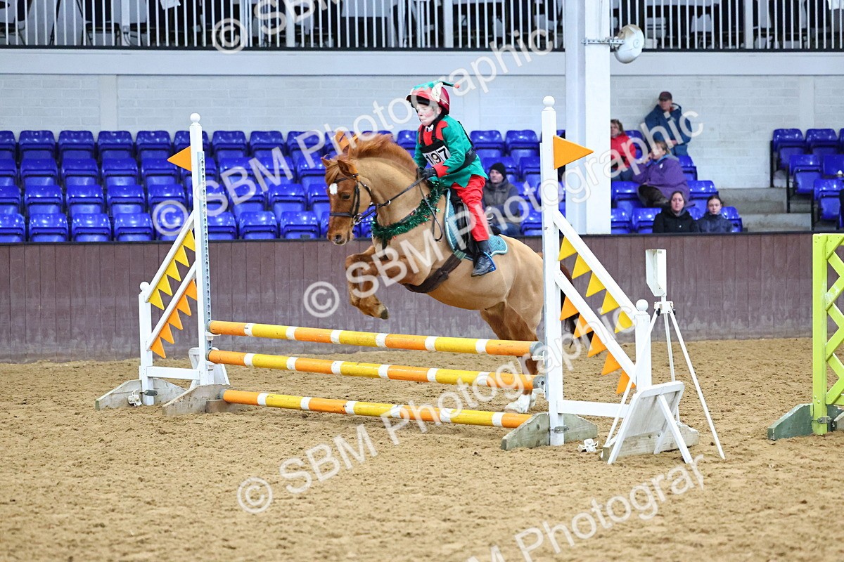 SBM_001367 - Class 3 - Christmas Tree Stakes - 60cm