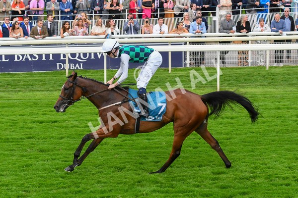 280723-Race 5-Midnight Mile-0554 - Race 5 7.15pm British EBF 40th Anniversary Lyric Fillies' Stakes