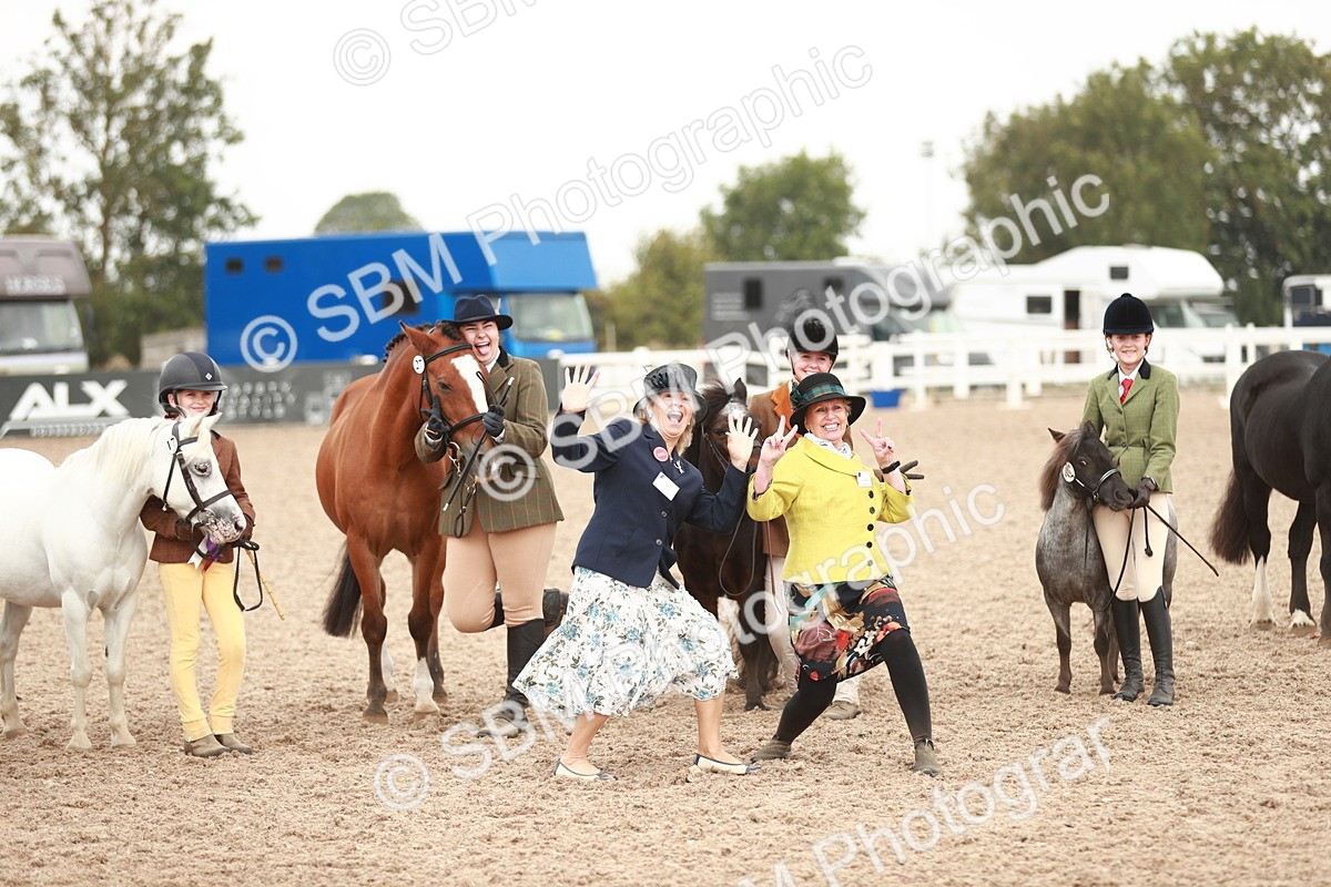 SBM_11935 - Class 206 IH Non Show Type Pony