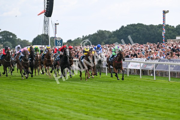 260725-Race 6-Billyb-7873 - Race 6 4.25pm Sky Bet Go-Racing-In-Yorkshire Summer Festival Handicap