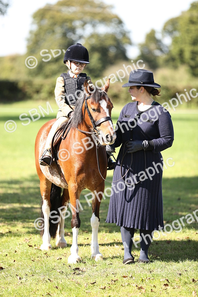 SBM_19359 - S3 - TSR Ridden Pony Showing