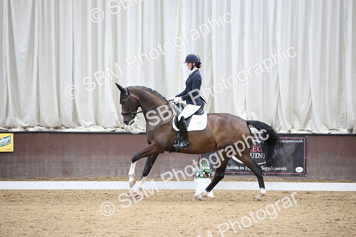 SBM_003388 - Class 5 - Novice 6 Gold - 13.05-14.00
