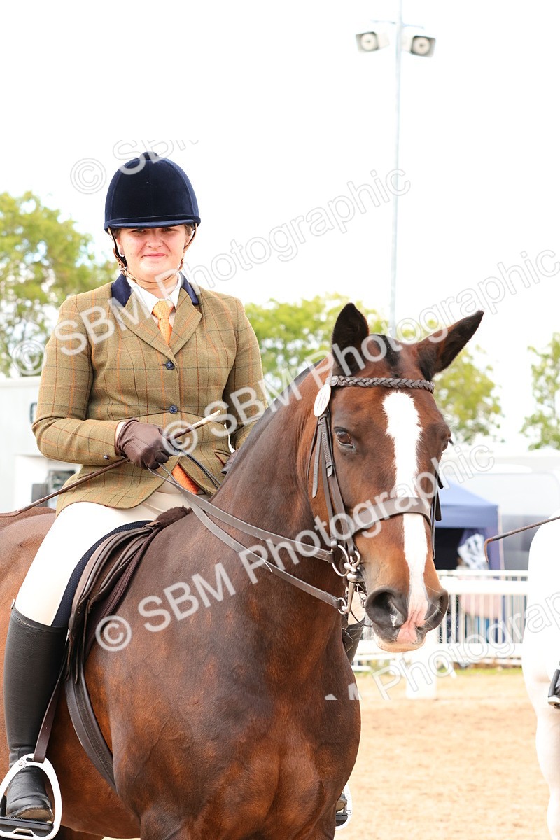 SBM_15519 - Class 214 - Ridden Show Cob