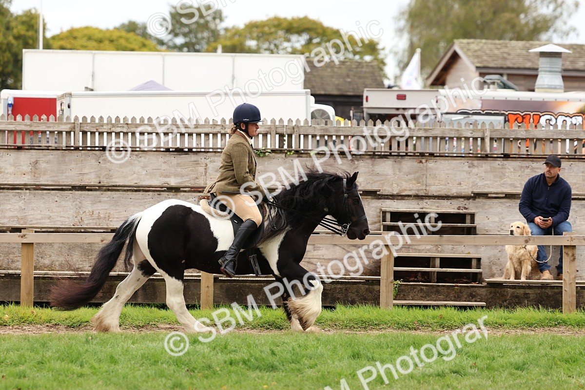 SBM_64621 - S58 - Coloured Pony Ridden