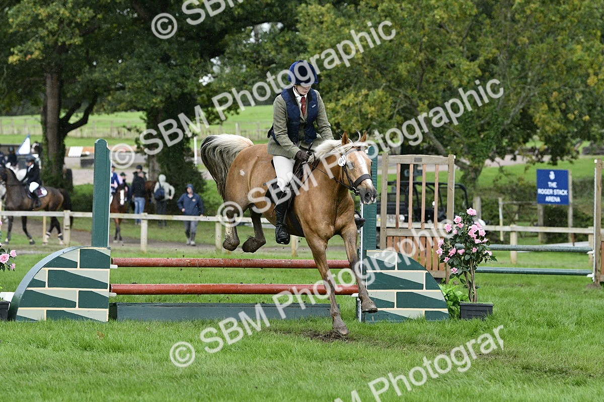 SBM_42248 - S32 - Mountain & Moorland Working Hunter Pony