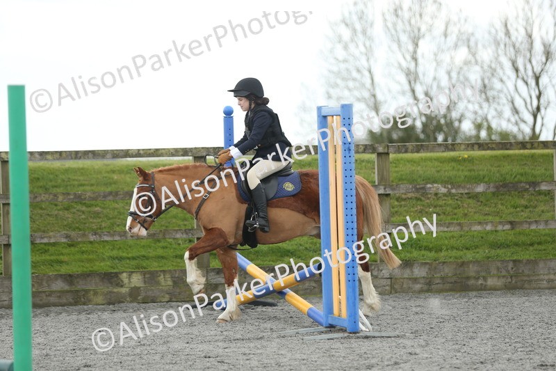 20260412-0605 - Show Jumping