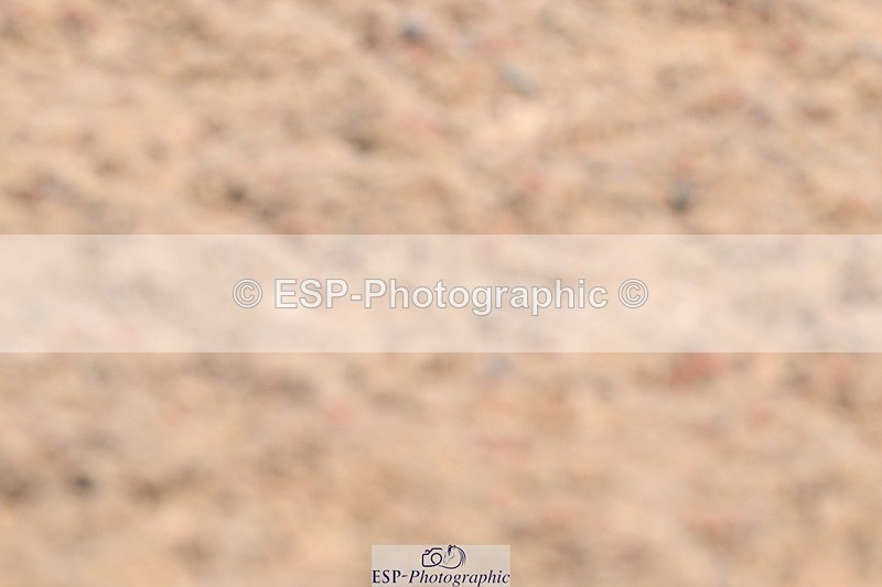 250621-142548-11486 - Cls 30 - Elementary 6