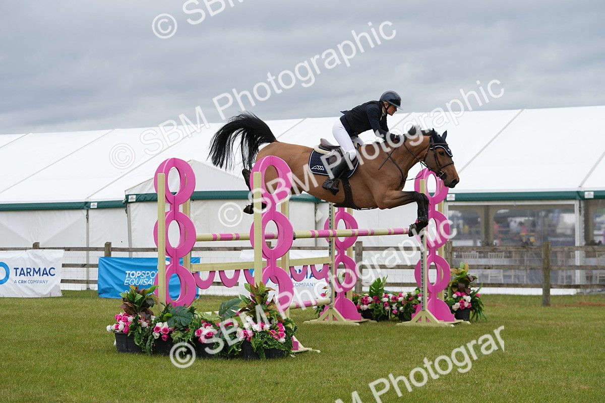 SBM_03392 - Class 201 - British Horse Feeds Speedi Beet Horse of the Year Show Grade  C