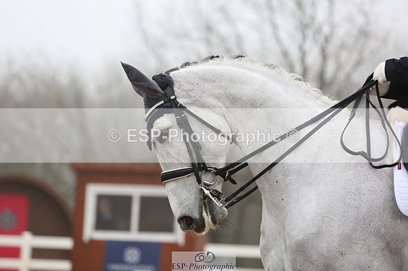 240217A-100544-00927 - 179-Sophie.Gregory-Lady.Lucydale