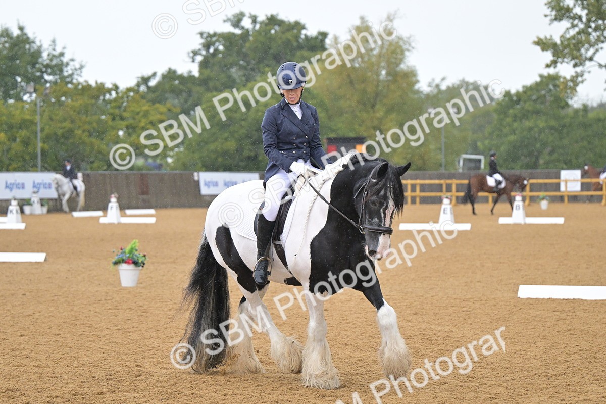 SBM_02210 - D2 - Small Tour Championship Intro 2