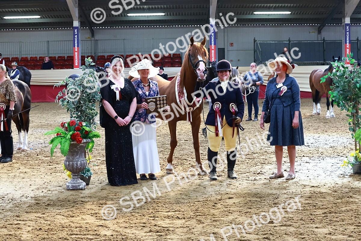 SBM_22424 - Class 902 - Supreme Final - IH Diamond