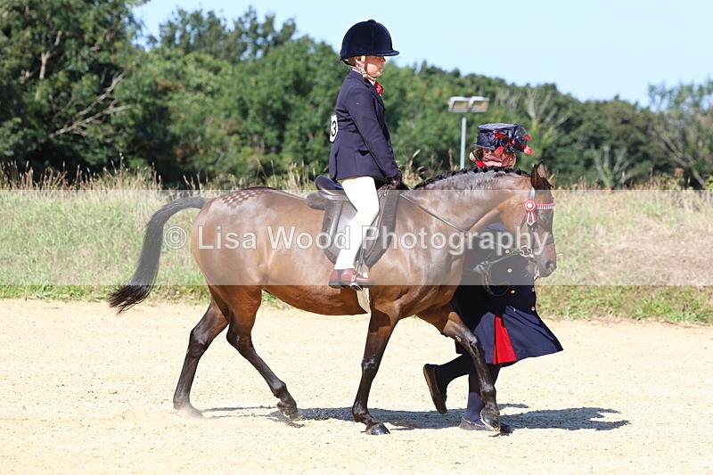 3E7A8050 - Class 15: Lead Rein