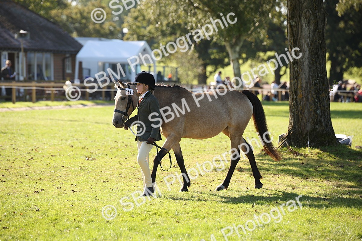 SBM_36641 - S10 - Best In Hand Horse & Pony