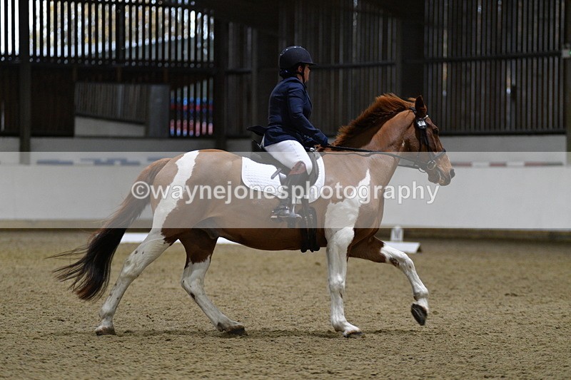 WJ5_8404 - Class 4 Prelim Test 2